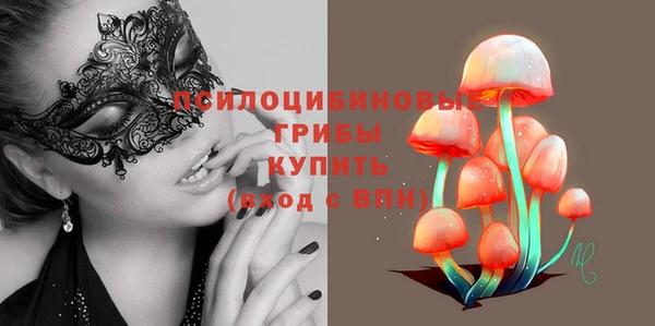ECSTASY Верхний Тагил