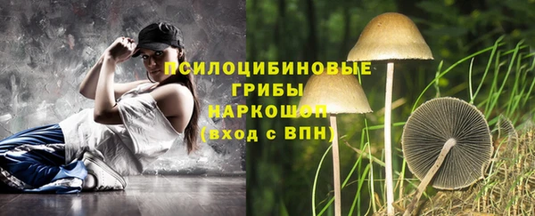 МДПВ Верея